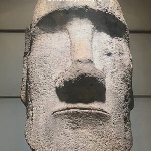 Meet your Posher, Ali